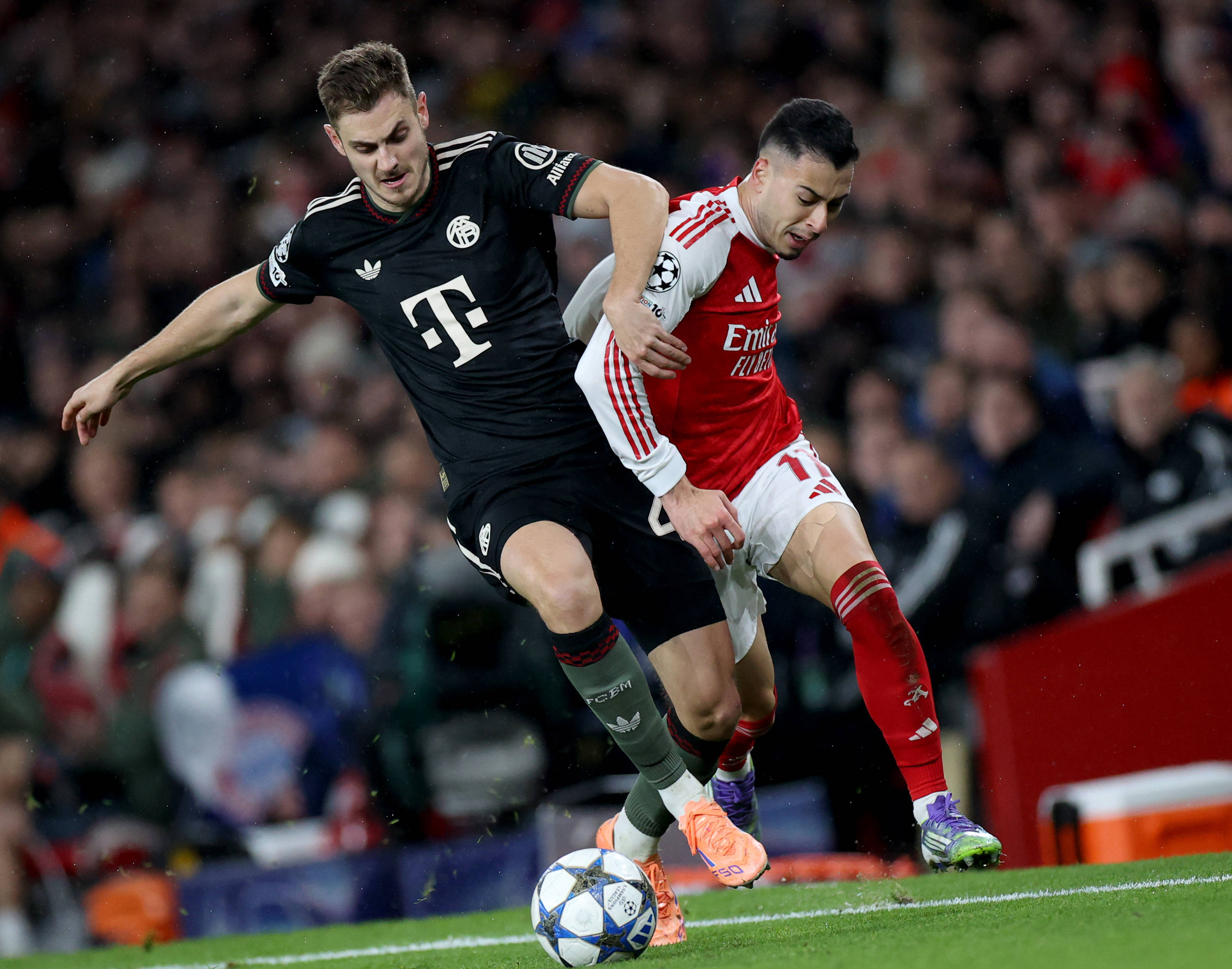 博彩运营商赞助野生动物保护